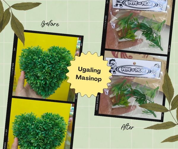 Ugaling Masinop: Miniature Trees